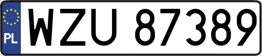 WZU87389