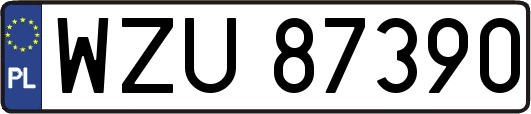 WZU87390