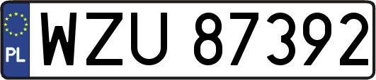 WZU87392
