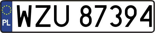 WZU87394