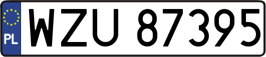 WZU87395