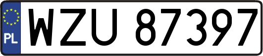 WZU87397