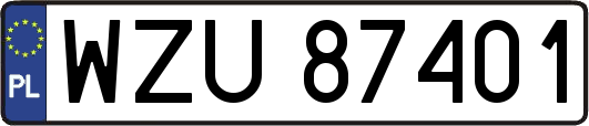 WZU87401