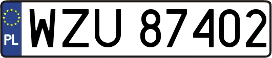 WZU87402