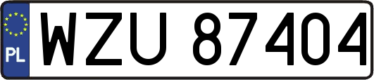 WZU87404