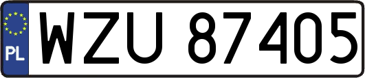WZU87405