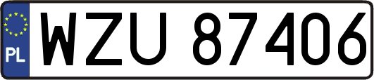 WZU87406