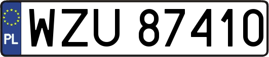WZU87410