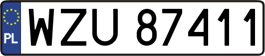 WZU87411