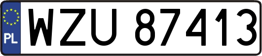 WZU87413