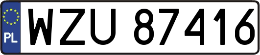 WZU87416