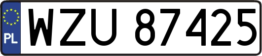 WZU87425