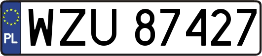 WZU87427