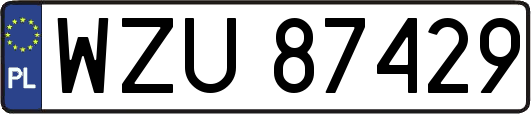 WZU87429