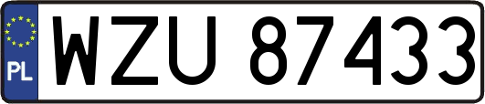 WZU87433