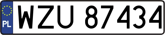 WZU87434