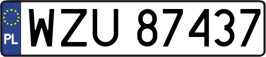 WZU87437