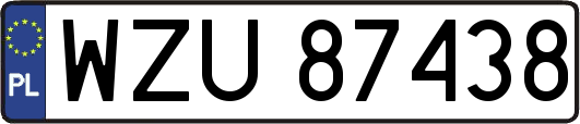 WZU87438