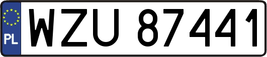 WZU87441