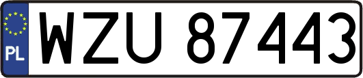 WZU87443