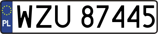 WZU87445