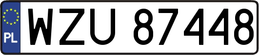 WZU87448