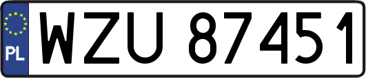 WZU87451