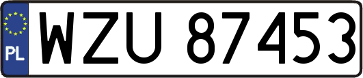 WZU87453