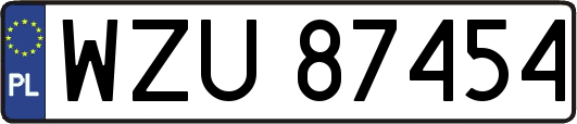 WZU87454