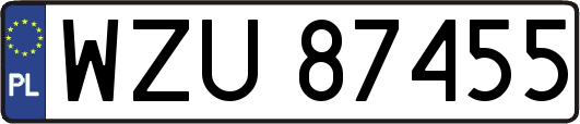 WZU87455