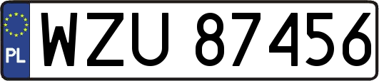 WZU87456