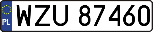 WZU87460