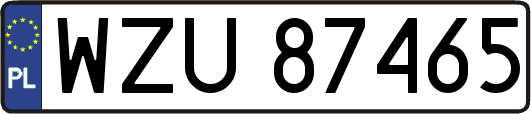 WZU87465