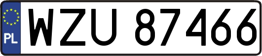 WZU87466