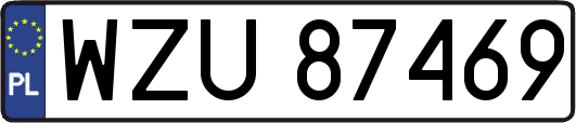 WZU87469