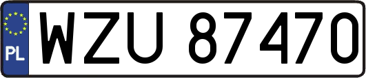 WZU87470