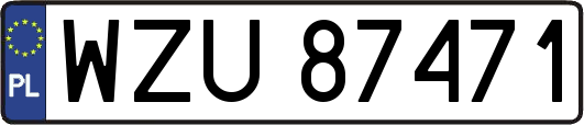 WZU87471