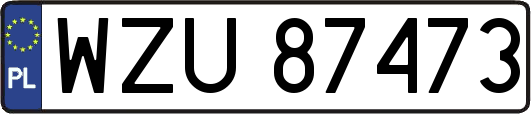 WZU87473