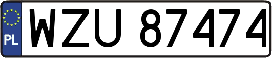 WZU87474