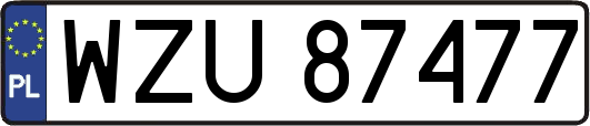 WZU87477
