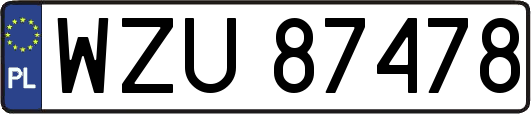 WZU87478