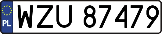 WZU87479