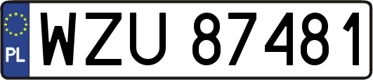 WZU87481