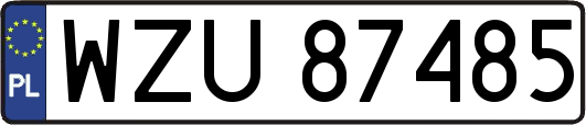 WZU87485