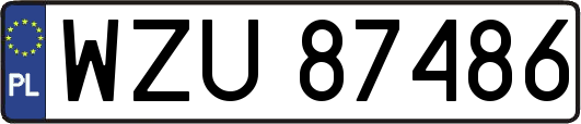 WZU87486