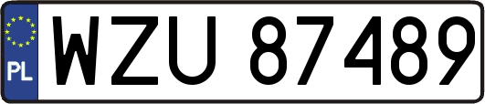 WZU87489