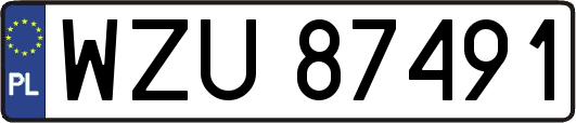 WZU87491
