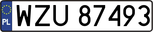 WZU87493