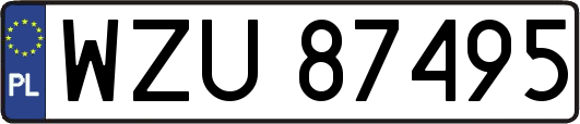 WZU87495