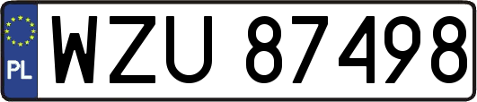 WZU87498